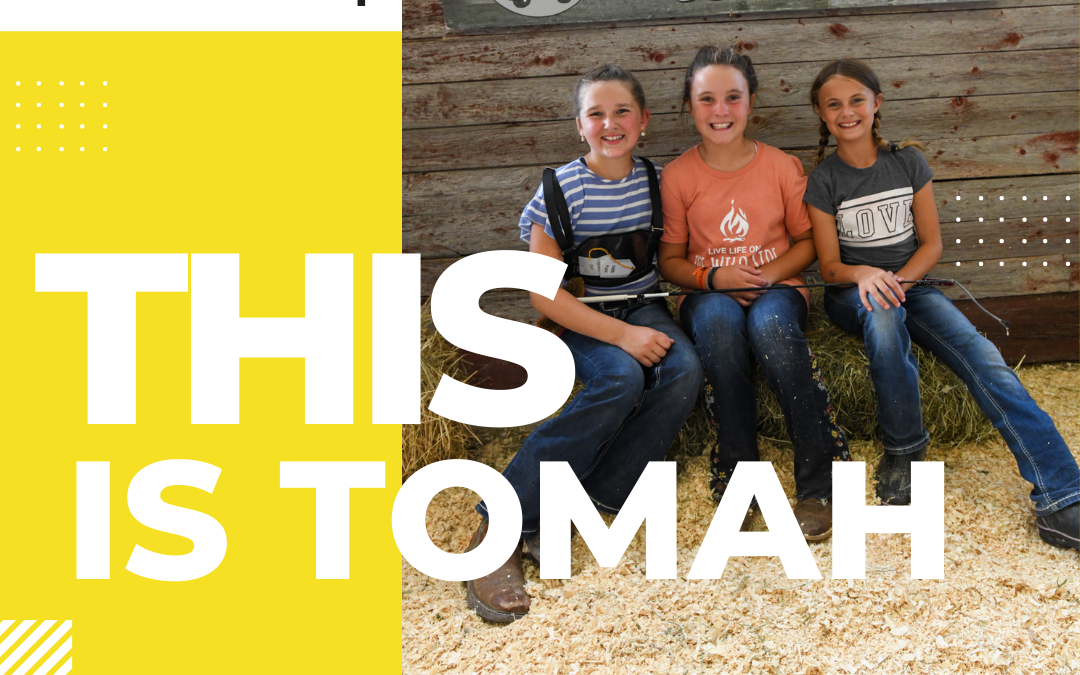 Tomah Chamber & Visitors Center Summer Events: Downtown Thursday Nights, Monroe County Fair, Tomah Crazy Days…