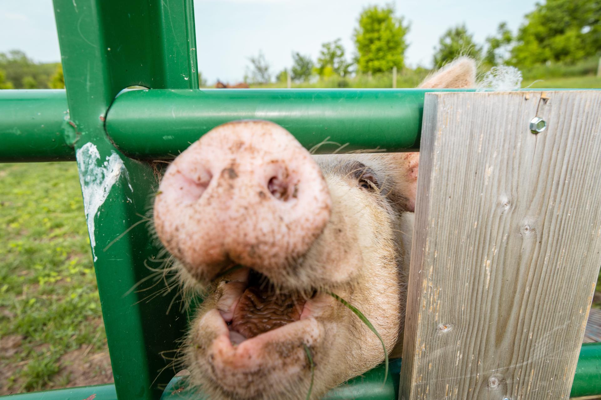 Visit New Richmond, WI Announces Summer Adventures and Fall Getaway Sweepstakes